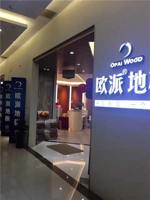 欧派直营店活动